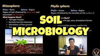 Soil Microbiology  Tamil  Rhizosphere  Phyllosphere  Soil Organisms  ThiNK VISION  Biologytnk [upl. by Fulmis247]