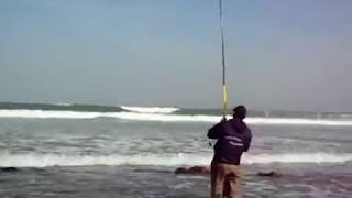 Pêche dune grande courbine au maroc [upl. by Oilalue262]