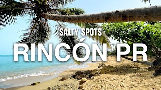 Spearfishing amp Exploring in Rincón Puerto Rico  Salty Spots [upl. by Chor]