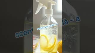 DIY Home Cleaning Products Natures Cleaners lifehacks smarttips lifetips [upl. by Antonetta491]