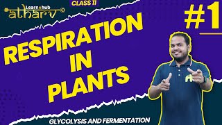 Respiration in Plants Class 11 Biology NCERT Chapter 11 1  Glycolysis and Fermentation  Atharv [upl. by Hagan]