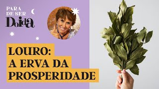 VOCÊ SABE QUAL é a ERVA DA PROSPERIDADE MÁRCIA FERNANDES EXPLICA a força do LOURO [upl. by Laise]