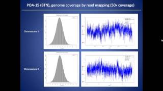 Optimization of NGS Library Preparation Low Inputs and Fast Streamlined Workflows [upl. by Howarth]