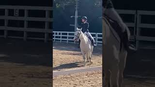 Preliminary Dressage Test 1 2013 with Rory❤️ [upl. by Walworth]