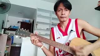 Narda  Guitar cover [upl. by Cirri]