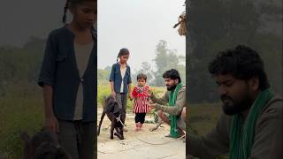 Bakari aur moti 🐐 Part1  shorts vijaykumarviner emotional humanity suspense thriller [upl. by Alliscirp]