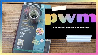 Hobonichi Cousin A5 PWM using happy planner stickers  Super chatty today [upl. by Einnok878]