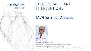 Structural Heart Intervention Series TAVR for Small Annulus  Sachin Goel MD [upl. by Marjory]