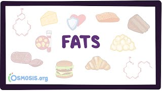 Fats [upl. by Abraham]