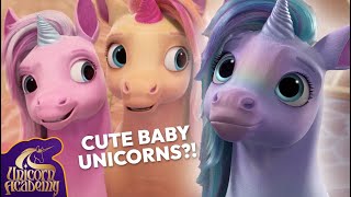 Unbelievably CUTE BABY UNICORN Moments from Chapter 2  Unicorn Academy  Cartoons for Kids [upl. by Draude]