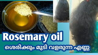 How to make Rosemary oil for hair growth Malayalam [upl. by Ahsam]