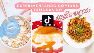 TESTANDO RECEITAS DO TIKTOK VERSAO VEGANA  PUDIM SEM OVOS SMOOTHIE AZUL E MELHOR MIOJO [upl. by Atirabrab]