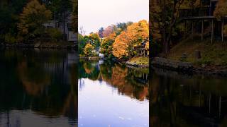 Halifax  Nova Scotia  Canada 🍁 travel canada autumn shorts [upl. by Tisman258]