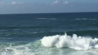 Bronte Surf Check Friday April 12th 2024 900am [upl. by Walter251]