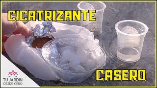 Cómo Hacer Pasta Cicatrizante Casera ¡¡Fácil y Muy Barata [upl. by Erma838]