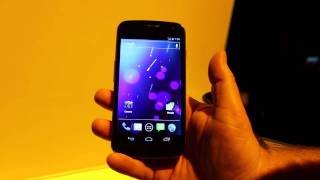 Sprint Samsung Galaxy Nexus with 4G LTE HandsOn at CES 2012  Pocketnow [upl. by Babbie318]