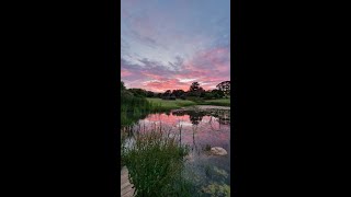 MEMORIAL SERVICE  VALERIE ELIZABETH LE ROUX  19370329  20241115 [upl. by Llaccm]