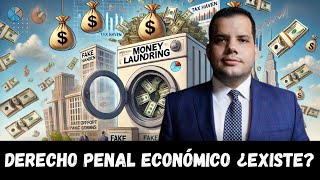 Derecho Penal Económico ¿Existe [upl. by Ylatan]