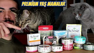 PREMİUM YAŞ KEDİ MAMALARI KIYASLAMASI 😻 En İyi Kedi Mamaları [upl. by Lsil]