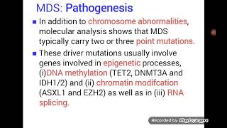 Myelodysplastic Syndrome  MDS [upl. by Sirovaj]