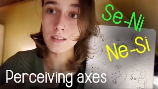 MBTI Perceiving axes explained SeNi and NeSi [upl. by Niliak]