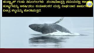 ಸಮುದ್ರ ದೈತ್ಯ ಸಸ್ತನಿ  ತಿಮಿಂಗಲಗಳ ಆಸಕ್ತಿದಾಯಕ ವಿಷಯಗಳು ಡಾಎನ್‌ ಬಿ ಶ್ರೀಧರ್‌ Janashakthi Media [upl. by Muirhead]