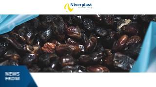 Niverplast  DATES Packaging [upl. by Aliac761]