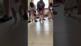 Cute Triplet Baby 👶🥰 Funny Baby Videos triplets twins cutebabyvideo cutebabymoment [upl. by Odnuges124]