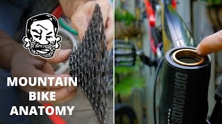 Mountain Bike Anatomy  50 parts in 5 minutes [upl. by Anihc744]