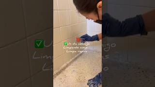 Un día CONMIGO limpiando Casas 🏘️🫧🧹 housekeeper limpiar clean limpieza cleaning limpio [upl. by Hubert471]