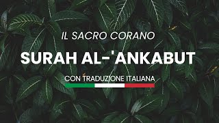 Surah AlAnkabut 5469  Sottotitoli in Italiano  سورة العنكبوت  القارئ عبد الله حميد [upl. by Hbahsur]