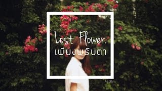 Lost Flower  เพียงพริบตา  Official Audio [upl. by Ydnec]