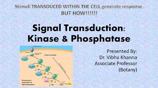 Signal transduction  Kinases and phosphatases [upl. by Aicatsan687]