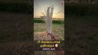 🌾 கோரைப்பாயின் அருமை தெரியுமா 👴🏻 MudPot Channel [upl. by Marnia]