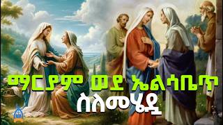 ቅድስት ድንግል ማርያም ወደ ኤልሳቤጥ ስለመሄዷ  About Mary going to Elizabeth  Ethiopia Orthodox Tewahido [upl. by Attekahs918]