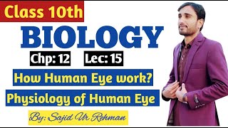 How Human Eye works  Physiology of Human Eye  Mechanism of Vision  10th Bio Chp 12 Lec 15 [upl. by Atsirhc961]