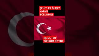 😢🥀🇹🇷🇹🇷GecelerKeşfetolanasayfatrendingdestekvideoöneçıkar 2024shortsdünyavlogart [upl. by Ludwig]