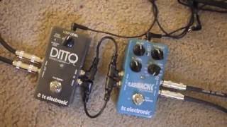 TC Electronic Ditto Stereo Looper amp Flashback Delay pedal demo [upl. by Brittnee33]