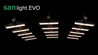 Sanlight EVO 5 LED grow light test and review [upl. by Radburn]