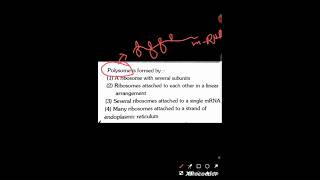 Cell unit of life ❤️💚 shorts  polyribosomes cell 👍👍 [upl. by Irt558]