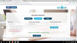 AEPS Balance Enquiry Tutorial [upl. by Skoorb]