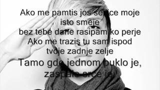 Milan Stankovic  Perje 2011 tekst [upl. by Otes424]