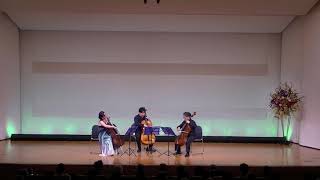 FJHaydn  Divertimento Dmajor for 3Violoncellos [upl. by Nylareg]