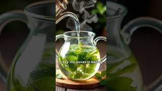 Discover the Refreshing Benefits of Peppermint Tea [upl. by Stasny]