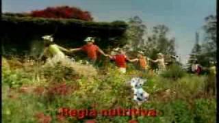 Comercial Margarina Regia  Niños Ecuador [upl. by Norita]