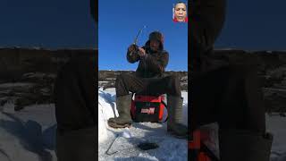 fishing fisherman bigfish fisher fish hogfish wow icefishing cool snow cool 🐟🐟🎣🎣🥶 [upl. by Ephraim852]