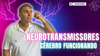 Neurotransmissores Dr Nelson Marques [upl. by Nevs]