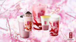 GONG CHA AD [upl. by Shaylyn]