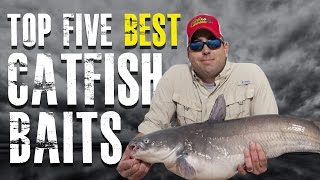 Top 5 Best Catfish Baits Made Simple  Blue Channel Flathead Catfish [upl. by Alicea]