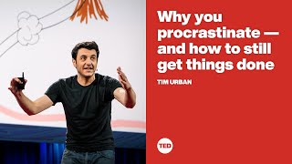 Why you procrastinate  and how to still get things done  Tim Urban [upl. by Pappas959]